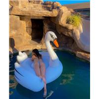 Screenshot_20260923_182116_Instagram